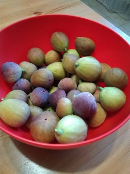 Рецептик дня-2 - IMG_20180904_173525.jpg