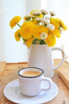 Доброго утра Хорошего дня Спокойной ночи  - rv7v0qejhgs.jpg