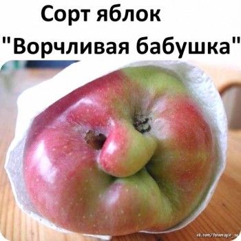 Из ВКонтактика с приветиком  - 3eDfhLx_-D4.jpg