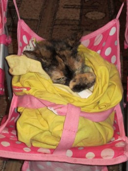 Чем сегодня занимались ваши дети? - к.jpg