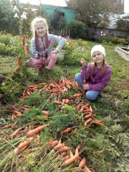 Чем сегодня занимались ваши дети? - IMG_20180908_163139.jpg