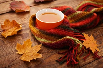 Доброго утра Хорошего дня Спокойной ночи  - Tea_Autumn_Maple_Cup_446841.jpg