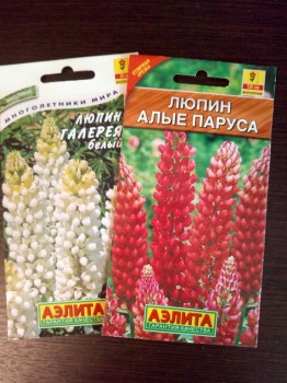 Цветник без хлопот. - IMG_20180920_130823.jpg