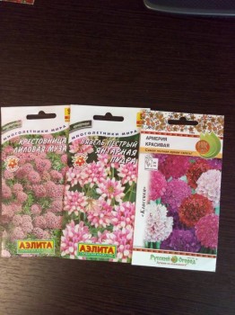 Цветник без хлопот. - IMG_20180920_130855.jpg