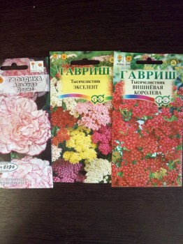 Цветник без хлопот. - IMG_20180920_130932.jpg