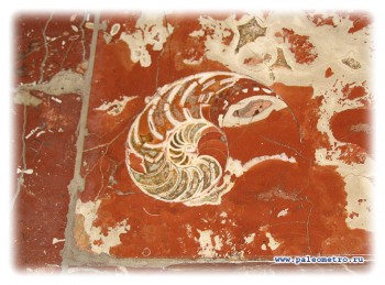 Конфетти. Флудим культурно...  - 136.jpg