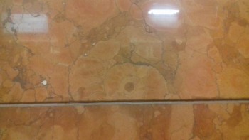 Конфетти. Флудим культурно...  - 20181003_074548.jpg