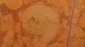 Конфетти. Флудим культурно...  - 20181003_074601.jpg