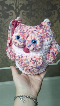 Вот такая совуня!