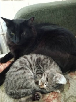 Кого из животных вы содержите? Фото приветствуется. - IMG_20181012_155415.jpg