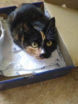 Что смотришь? Мой домик!