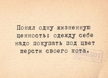 Из ВКонтактика с приветиком  - 1540148840.jpg