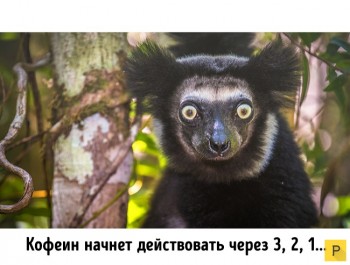 А у вас сейчас какое настроение? - C__Data_Users_DefApps_AppData_INTERNETEXPLORER_Temp_Saved Images_1467258596_c13.jpg