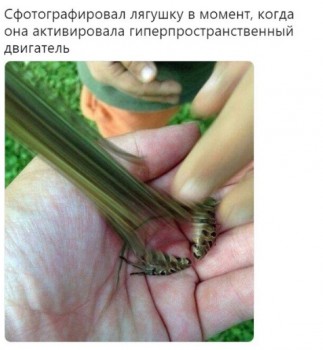 Из ВКонтактика с приветиком  - 1540442882.jpg