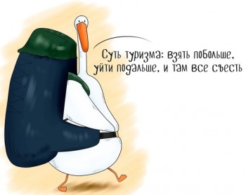 Из ВКонтактика с приветиком  - 1541071415.jpg