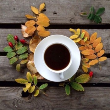 Доброго утра Хорошего дня Спокойной ночи  - 1541224289.jpg