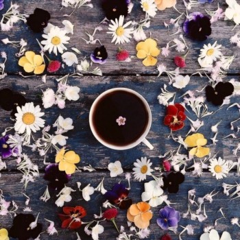 Доброго утра Хорошего дня Спокойной ночи  - 1541224284.jpg