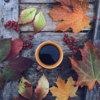 Доброго утра Хорошего дня Спокойной ночи  - 1541224280.jpg