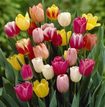 Чем сегодня занимались - imgs_touch.jpeg