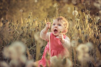 Доброго утра Хорошего дня Спокойной ночи  - 604987_main.jpg