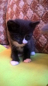 Доброго утра Хорошего дня Спокойной ночи  - WP_20181027_12_52_11_Pro.jpg