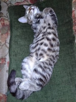 Моя козявочка