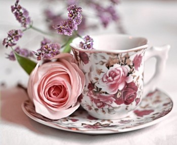 Доброго утра Хорошего дня Спокойной ночи  - 1542174788.jpg