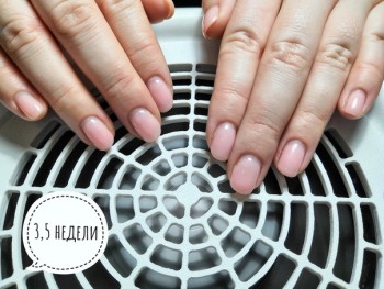 Наши прекрасные ручки - 1542285326.jpg