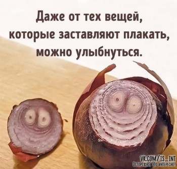 Из ВКонтактика с приветиком  - 1542302175.jpg