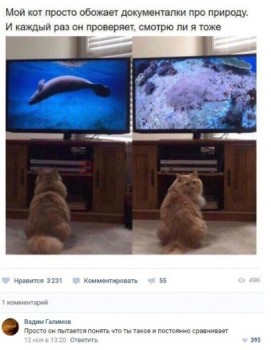 Из ВКонтактика с приветиком  - 1542638069.jpg