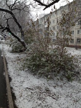 Поговорим о погоде - IMG_2018-11-20_160618.jpg