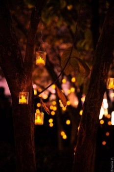 Доброго утра Хорошего дня Спокойной ночи  - 1542980507.jpg