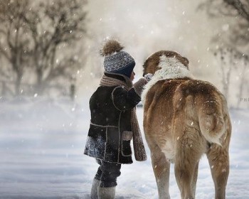 Доброго утра Хорошего дня Спокойной ночи  - 1543077534.jpg