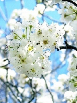 Доброго утра Хорошего дня Спокойной ночи  - 1543080357.jpg