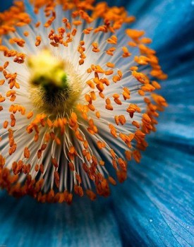 Доброго утра Хорошего дня Спокойной ночи  - 1542980908.jpg