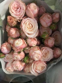 Доброго утра Хорошего дня Спокойной ночи  - 1543171102.jpg