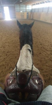 Чем сегодня занимались - 20181116_153317.jpg