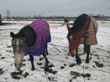 Чем сегодня занимались - 20181125_142151(1).jpg