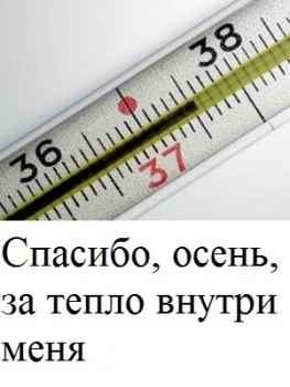 Из ВКонтактика с приветиком  - 1543342349.jpg