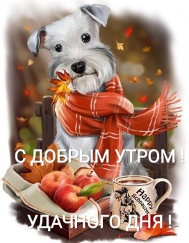 Доброго утра Хорошего дня Спокойной ночи  - IMG-20181123-WA0000.jpg