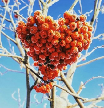 Доброго утра Хорошего дня Спокойной ночи  - 1543843490.jpg