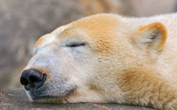 А у вас сейчас какое настроение? - s1200 (1).jpeg