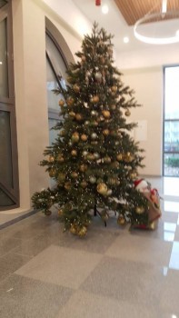 Чем сегодня занимались - 20181204_111758.jpg