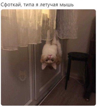 Из ВКонтактика с приветиком  - 1543926589.jpg