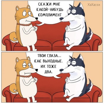 Из ВКонтактика с приветиком  - 1543926596.jpg