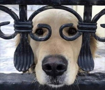 Из ВКонтактика с приветиком  - 1544085411.jpg