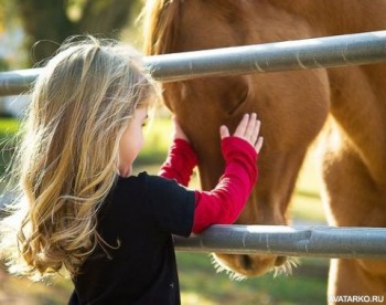 Аватарки. Наши интернет-лица-2 - devochka_loshad_29284.jpg