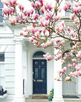 Доброго утра Хорошего дня Спокойной ночи  - 1544986447.jpg