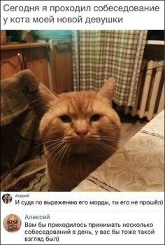 Из ВКонтактика с приветиком  - 1545423704.jpg