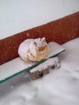 Короткие рассказики - FB_IMG_1545572301451.jpg